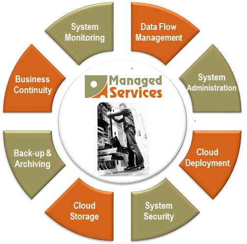 Mgmt Services